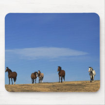 Horses and Sky Mouse Pads