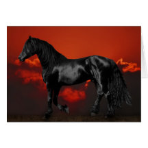 Horses at silhouette at sunset cards