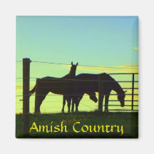 Horses at Sunset. Amish Lancaster Pa. Magnet