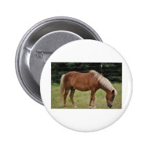Horses Button
