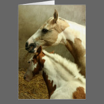 HORSES cards