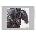 Horses Card