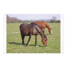 Horses - Chevaux Papier À Lettre Personnalisé