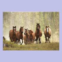 Horses cresting small hill during roundup, 2 photography