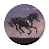 Horses Dance silhouette at sunset Fridge Magnets