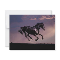 Horses Dance silhouette at sunset Invites