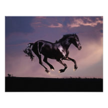Horses Dance silhouette at sunset Invites