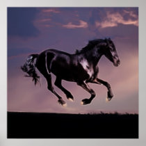 Horses Dance silhouette at sunset Posters