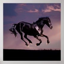 Horses Dance silhouette at sunset Posters