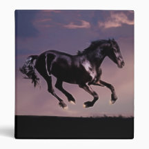 Horses Dance silhouette at sunset Vinyl Binder