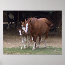Horses Design