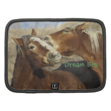 Horses Dream Big! Organizers