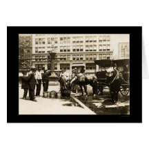 Horses Drinking Water in New York City 1911 Greeting Card