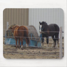 Horses Eating Hay 2 Mouse Mats