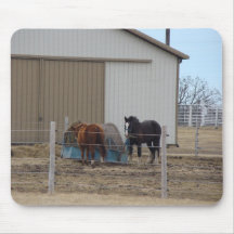 Horses Eating Hay Mouse Mats