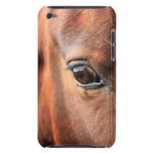 Horse's Eye Barely There iPod Covers