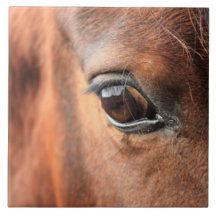 Horse's Eye Ceramic Tiles