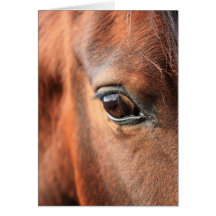 Horse's Eye Greeting Card