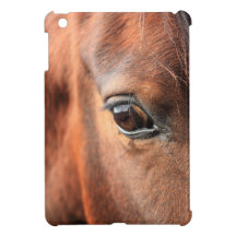 Horse's Eye iPad Mini Covers