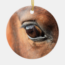 Horse's Eye Ornament