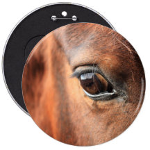 Horse's Eye Pinback Buttons