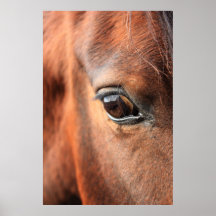 Horse's Eye Print