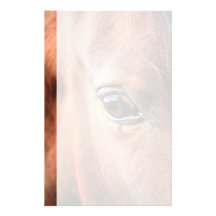 Horse's Eye Stationery Design