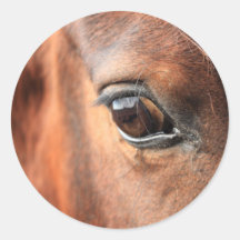Horse's Eye Sticker