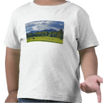 Horses graze in pasture near Whitefish, Tshirts