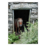 HORSES GREETING CARD