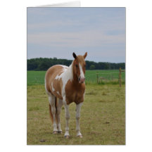 Horses Greeting Cards