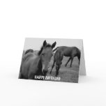 HORSES HAPPY BIRTHDAY card design