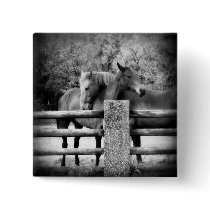 Horses Hugging - Horse Love Photograph Pinback Buttons
