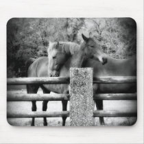 Horses Hugging - Horse Love Photograph Mouse Pads