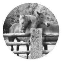 Horses Hugging - Horse Love Photograph Stickers