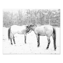 Horses In Love Art Photo