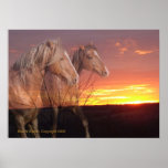 Horses in Sunrise Poster