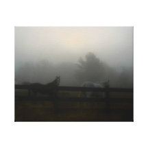Horses in the Fog Canvas Prints