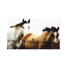 Horses in the Hills Stretched Canvas Prints