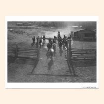 Horses into the corral posters