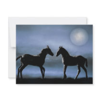 Horses making friends by moonlight announcement