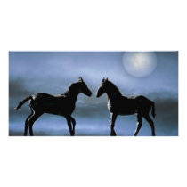 Horses making friends by moonlight customized photo card