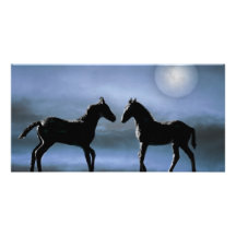 Horses making friends by moonlight customized photo card