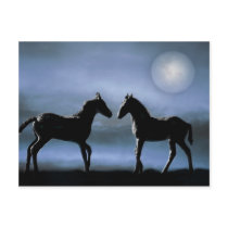 Horses making friends by moonlight postcard