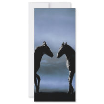 Horses making friends by moonlight custom rack cards