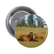 Horses: Mama and Baby Horse Lying Down Button