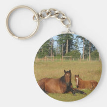 Horses: Mama and Baby Horse Lying Down Keychain