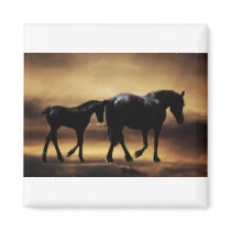 Horses mom and I Magnets