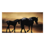 Horses mom and I Photo Greeting Card