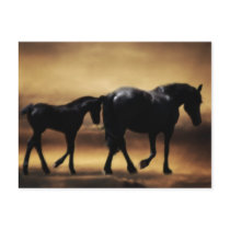 Horses mom and I Post Cards